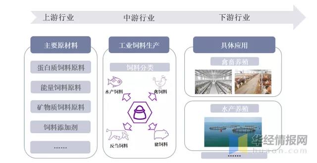 亙泰
